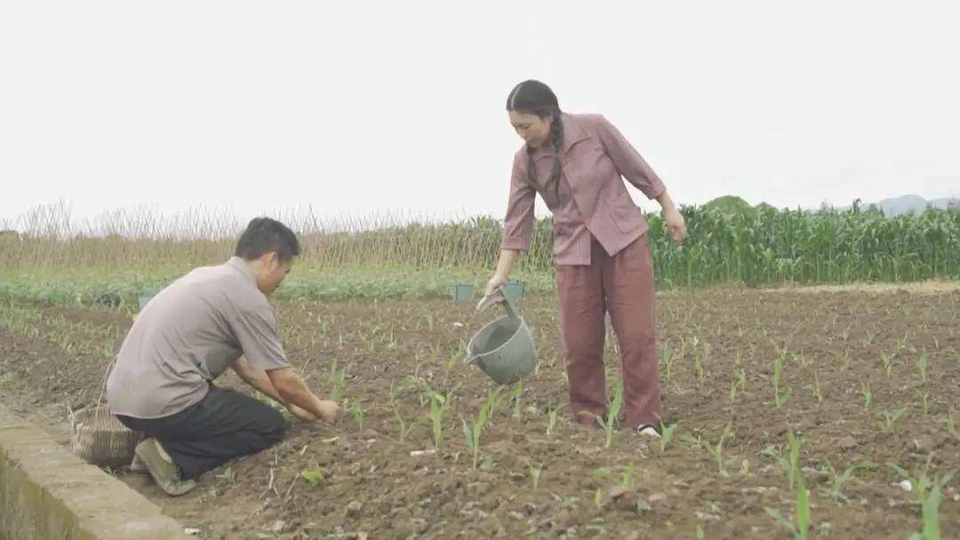 纸上的梦想  